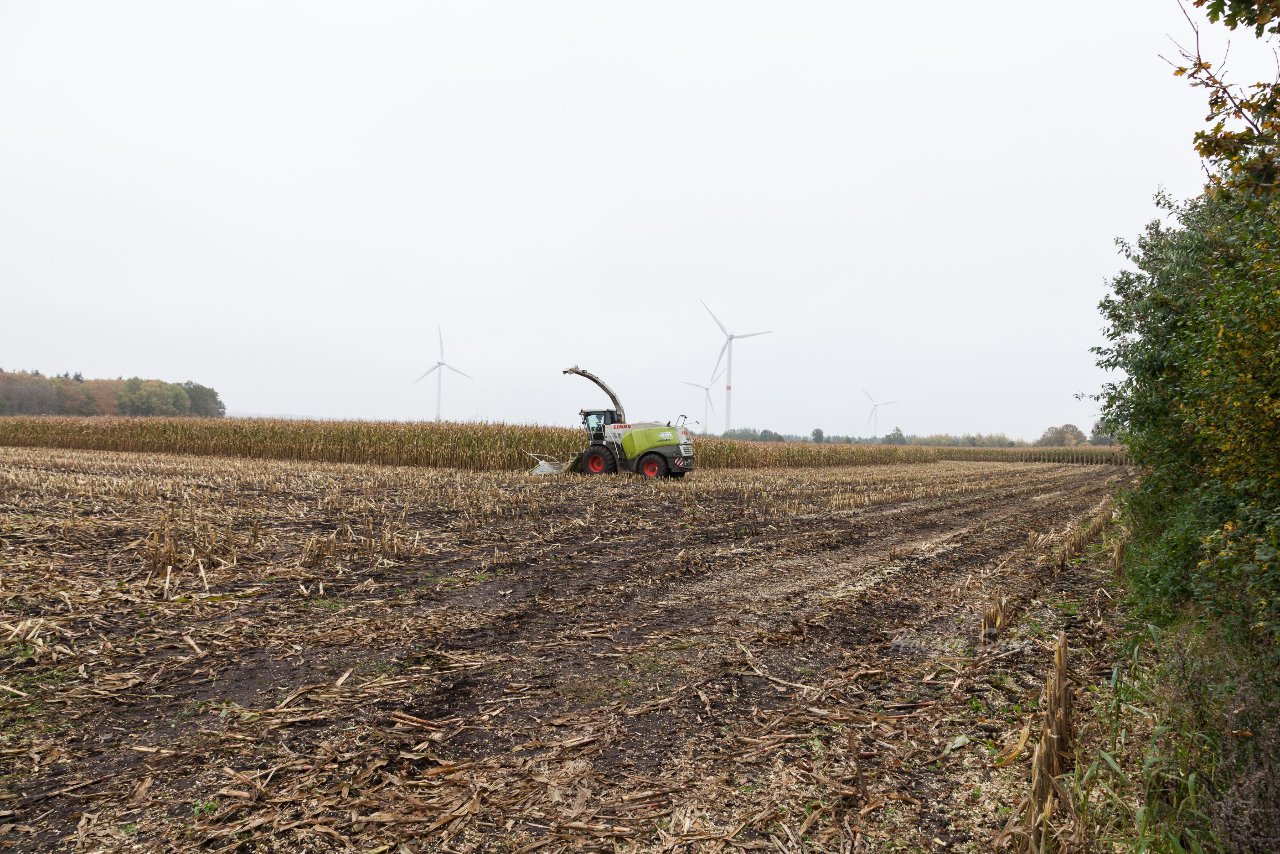 Bild 47 - Maisernte am 22.10.12